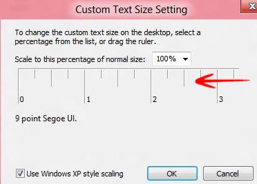 Custom Text Size Setting
