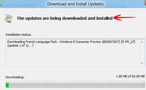 Downloading Language pack