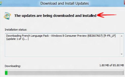 Downloading Language pack