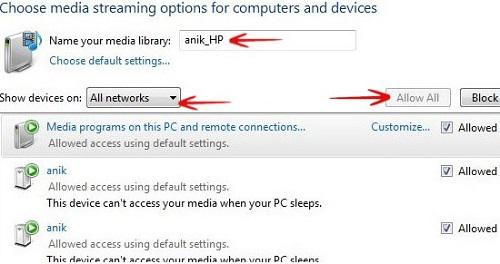 Media Streaming Options