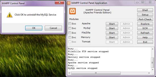 MySQL Service Start Confirmation