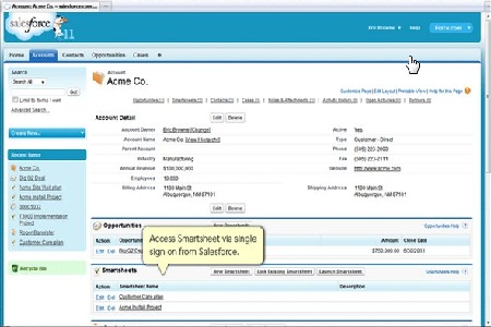 SalesForce1