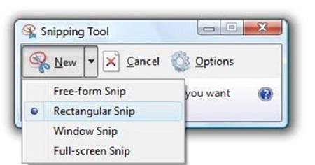 Snipping_Tool1