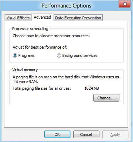 Advanced Performace Options delete pagefile