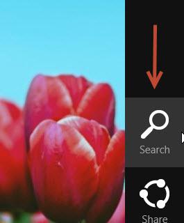 Charms search bar