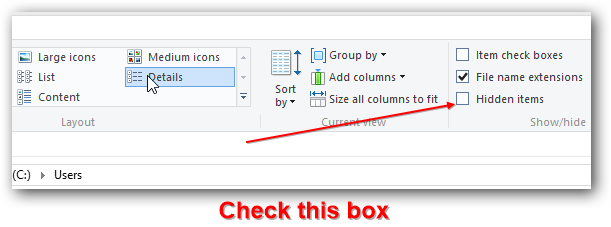 Check Option Hidden Items To See Hidden System Folders.png
