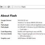Chrome Flash Url_ll