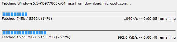 Downloading Windows Updates Manually