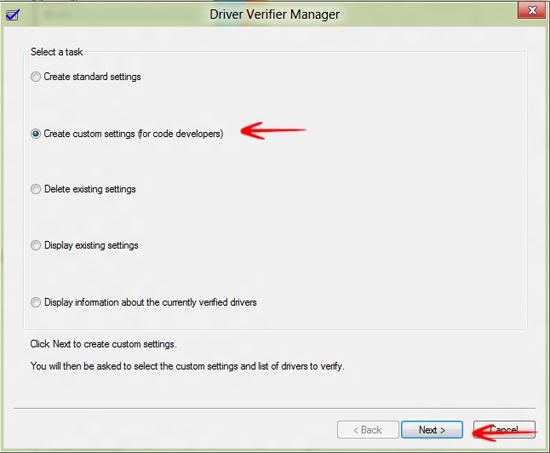 Driver verifier