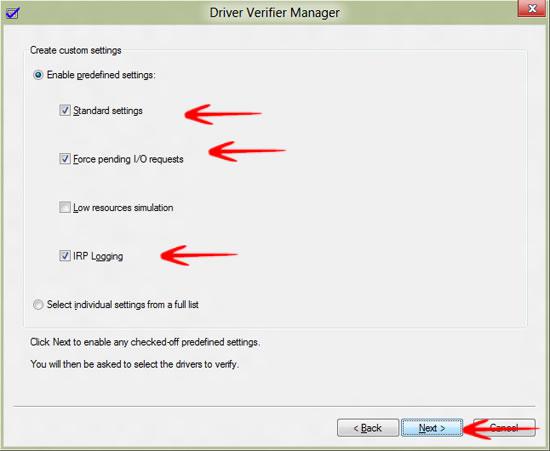 Driver Verifier