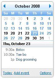 Google Calendar Gadget for Windows 7