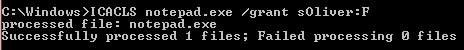 Grant permissions notepad.exe