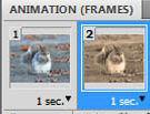 preview-how to make a gif animation in photoshop