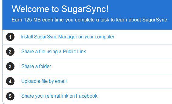 How to use SugarSync Setup