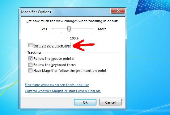 Magnifier Properties