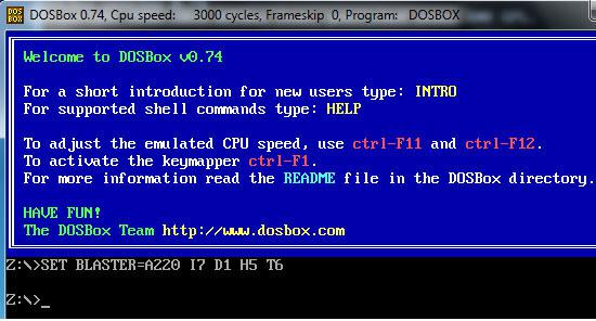 run dosbox