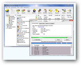 Internet Download Manager.png