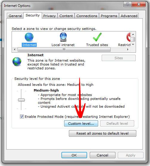 Internet Explorer 9 Custom Security Level