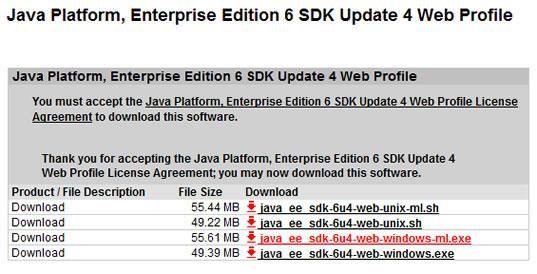 Java EE download