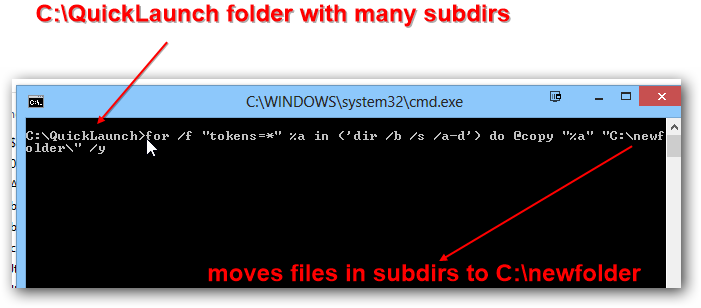 Moving Files In Subdirectories To New Folder.png