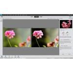 Photoshop Elements_ll
