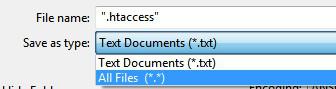 Saving Htaccess File You Must Type A File Name 1