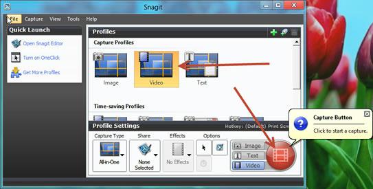 Main interface of Snagit