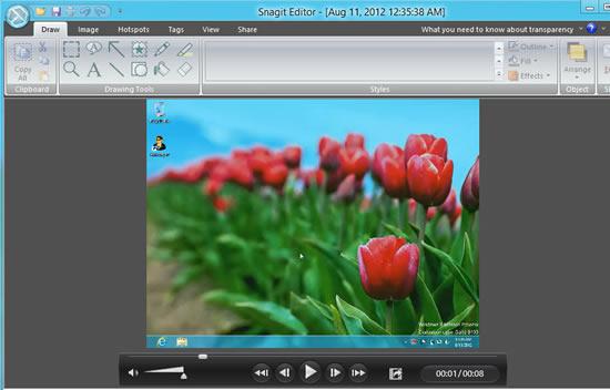 Video in Snagit Editor