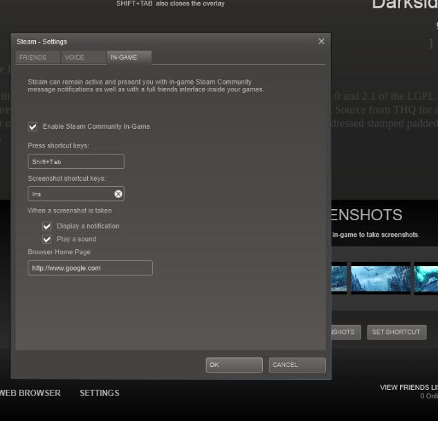 Steam Screenshot Shortcut