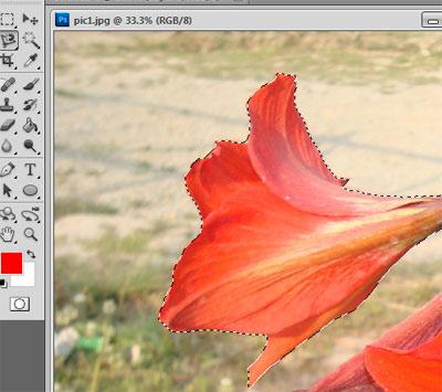 step-3-how to cut out an image in photoshop