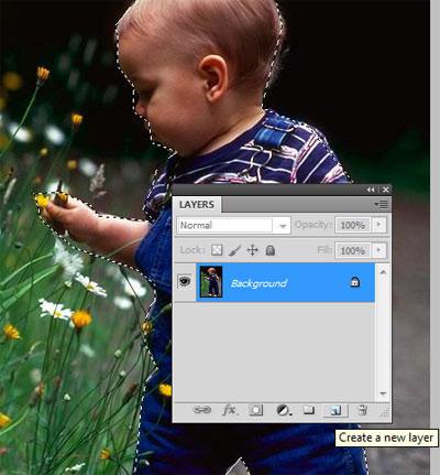 step-5-how to flip an image in photoshop