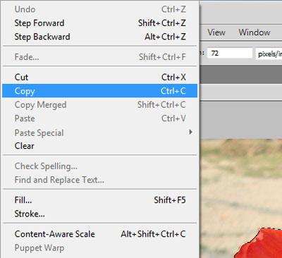step-6-how to cut out an image in photoshop