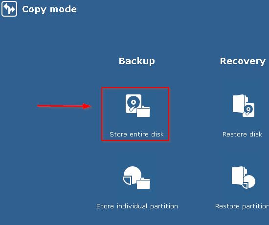 Click on Store Entire Disk, then Next button