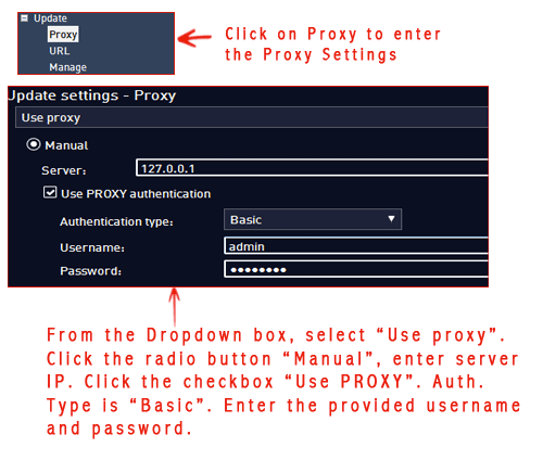 Manual Proxy Configuration