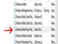 Windows Media Player Network Sharing Service